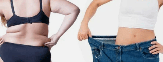 Os principios do menú da dieta encantáronlles